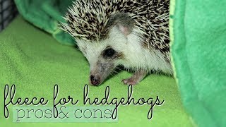 Fleece for Hedgehogs Pros amp Cons [upl. by Aicekan]