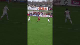 Brustannahme Sonnenwald Außenrist Tor ⚽ Highlight der Woche 24 Spieltag [upl. by Ativahs370]