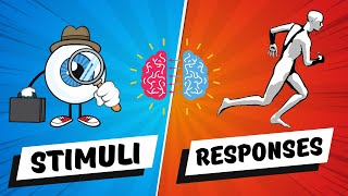 STIMULI and RESPONSES  Types  Interaction  Primary Education Grade 56  Elementary  Kids [upl. by Orips799]