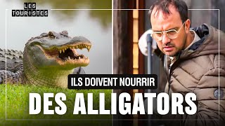 Jarry au bout de sa vie face aux alligators 🤣  Les Touristes [upl. by Clellan]