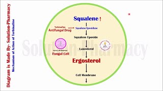 Topic 63Antifungal Drugs Terbinafine Mechanism of Action  Antifungal Drugs Mechanism of Action [upl. by Orpheus991]