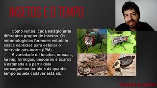 ENTOMOLOGIA FORENSE  AULA 02 [upl. by Nnayt928]