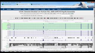 3 UCSC Genome Browser Tutorial BLAT [upl. by Nyvets]