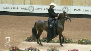 MERLINA DE LA PRIMAVERA y CULPABLE DE YERBABUENA CAMPEONATO JOVEN P4 EXPO FUTURO ASDESILLA 2024 [upl. by Stedt713]