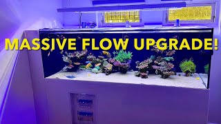 HUGE flow improvement for the 1000L sps reef tank  Ecotech Vortech mp40 QD galore [upl. by Jochebed]