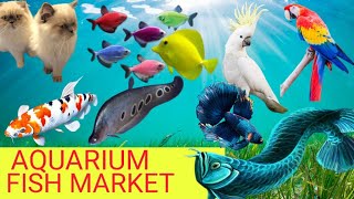 aqua planet aquarium fish mumbai aquarium fish market  kurla fish market कुर्ला फिश मार्केट [upl. by Ymer49]