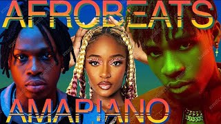 AFROBEATS MIX 2024 🔥 TOP OF NAIJA AFROBEAT VIDEO MIX 2024  AMAPIANO 2024  WIZKID  TYLA  OMAH LAY [upl. by Bonaparte]