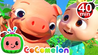 One Potato Two Potatoes 40 MIN COMPILATION  Animal Time  CoComelon Nursery Rhymes amp Kids Songs [upl. by Ahsilaf396]