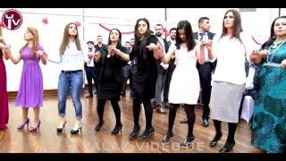 Nurcan amp Celil  Part 1  Yalak Video  Koma Pira  kurdish wedding  dilan  govend [upl. by Nerol]