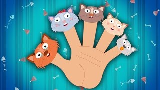 Finger Family Collection  Top 10 Finger Family Nursery Rhymes [upl. by Annahsat416]