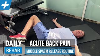 Acute Low Back Pain  Muscle Spasm Release Routine  Tim Keeley  Physio REHAB [upl. by Kennan]