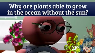 Nemos Garden  World’s First Underwater Garden shorts makingviral farming underwater garden [upl. by Jac544]