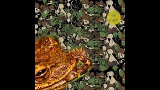 Phyllomedusa  Lustral Hungyr Banjo Profanity FULL ALBUM [upl. by Anotyad]