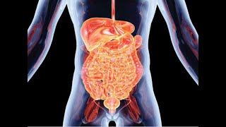 Gastrointestinal GI issues and considerations for those with SCI  September 28 2021 [upl. by Annairt18]