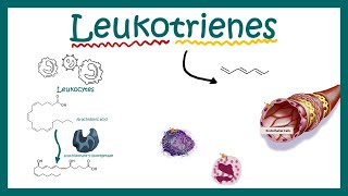 Leukotrienes  structure  function and association with disease [upl. by Shwalb]