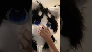 I always hated this mask fursuit furries therian [upl. by Myna223]