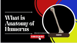 Humerus AnatomyHumerus What is Anatomy of Humerus  Anatomywithdrfaiza [upl. by Timotheus]