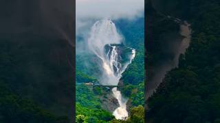 Beautiful Dudhsagar Waterfall  Goa OMG ITS SO HUGE DUDHSAGARWATERFALL GOA TRAVEL INDIA [upl. by Cinomod]