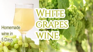 Homemade White Grapes Wine Recipe  Grape Wine  White Wine in 5 Days  Instant Wine [upl. by Sefton]