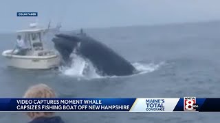 Fishermen end up in ocean after whale breaches onto boat [upl. by Zimmer66]