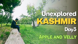 Glimpse of KASHMIR  Kashmir Ride on Bike Day 3 [upl. by Hsirehc]