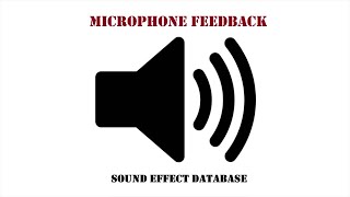 Microphone Feedback Sound Effect [upl. by Eilyak]