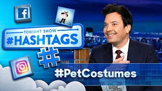 Hashtags PetCostumes  The Tonight Show Starring Jimmy Fallon [upl. by Eire]