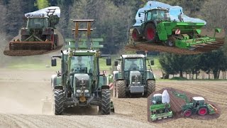 Kartoffellegen  2x Fendt  Miedema CP 42F  Amazone [upl. by Mosley]