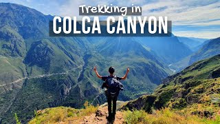 Colca Canyon 3day Trek Peru  Hiking in Worlds Deepest Canyon  TIPS  South America Hiking [upl. by Eitirahc585]