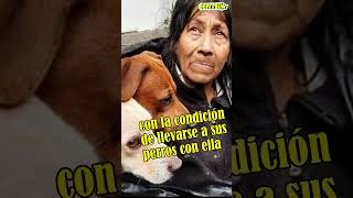 “MIS PERROS SON MI FAMILIA” No creerás lo que esta mujer hizo para quedarse son sus 6 perritos [upl. by Yetti]