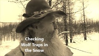 Checking Wolf Traps in the Snow 2023 [upl. by Altaf]