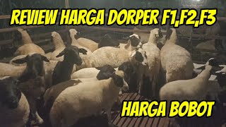 REVIEW HARGA DOMBA DORPER F1 F2 F3 HARGA TIMBANGAN DAN BOBOR DI DOMBA DORSIP MALANG [upl. by Katerine]