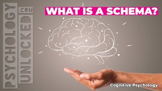 🧠 What is a schema 🧠 Cognitive Developmental Psychology [upl. by Tillio]