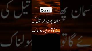 Quran Hindi translation 🪐🌐☪️youtubeshorts quran islam shorts [upl. by Itsrik]