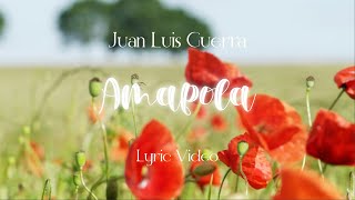 Juan Luis Guerra 440  Amapola Lyric Video [upl. by Boeschen421]