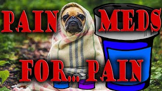 The best pain medication for dogs with osteoarthritis Pt 1 [upl. by Noll290]