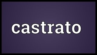 Castrato Meaning [upl. by Nhguavad]