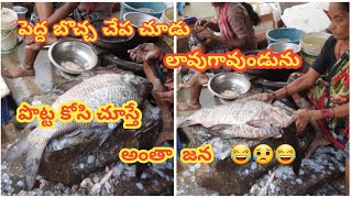 Big Rohu  bocha  Fish cutting and cleaning [upl. by Supmart]