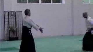 Kitaura Sensei Aikido Course Spain 2005 [upl. by Eseuqram205]