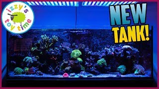 The New Izzys Toy Time 200 GALLON SALTWATER REEF TANK [upl. by Itak476]