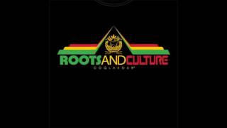 ROOTS AND CULTURE 2016 MIXX DJ KALONJE [upl. by Pantheas396]