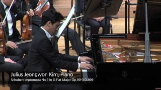 Schubert Impromptu No3 In G Flat Major Op903 D899 [upl. by Silvan387]