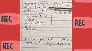 Vesicular transport VS Cisternal maturation model [upl. by Ynatsed]