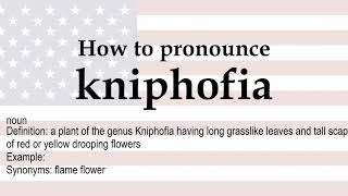 How to pronounce kniphofia  meaning [upl. by Jessy]