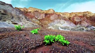 La Gomera  The energy awaiting you [upl. by Eceinal]