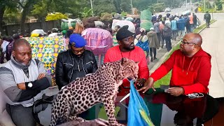 BOKETSHU  ENTRE MABELE NA LEOPARD TO BUNDELA NINI GOMA EST TOMBÉ [upl. by Boggs]