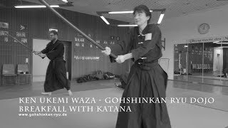 Ken Ukemi Waza Gohshinkan Ryu Dojo [upl. by Pyotr]