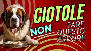 Come scegliere la ciotola del cane e dove posizionarla [upl. by Ynaffit]