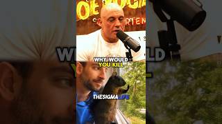 Rogan and Musk Moved by Peanut the Squirrel’s Story [upl. by Annam]