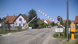 Spoorwegovergang RountzenheimAuenheim F  Railroad crossing  Passage à niveau [upl. by Brindell853]